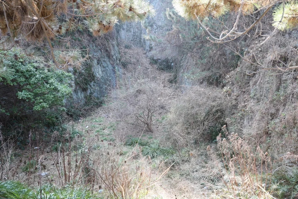 2%EC%9B%9426%EC%9D%BC_(106).JPG?type=w966