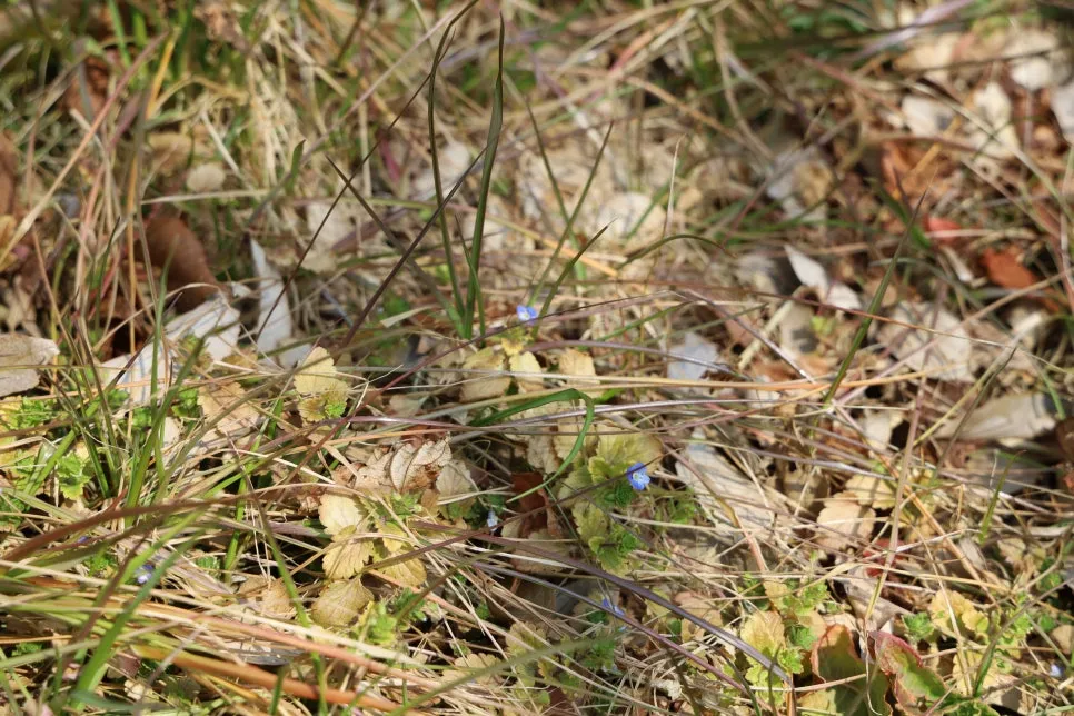 2%EC%9B%9426%EC%9D%BC_(25).JPG?type=w966