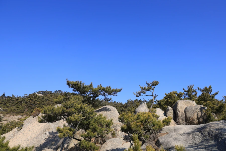 SE-4ecb73d3-a0f8-4291-a088-a82e5cc337e3.jpg?type=w1