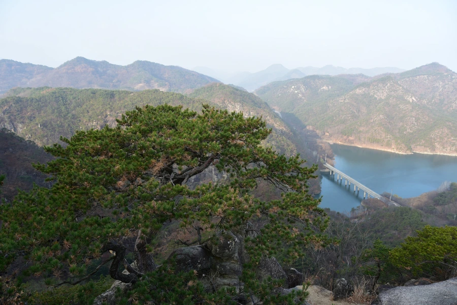 SE-77601f34-0cb9-4421-bc21-1d5b7aa15632.jpg?type=w1