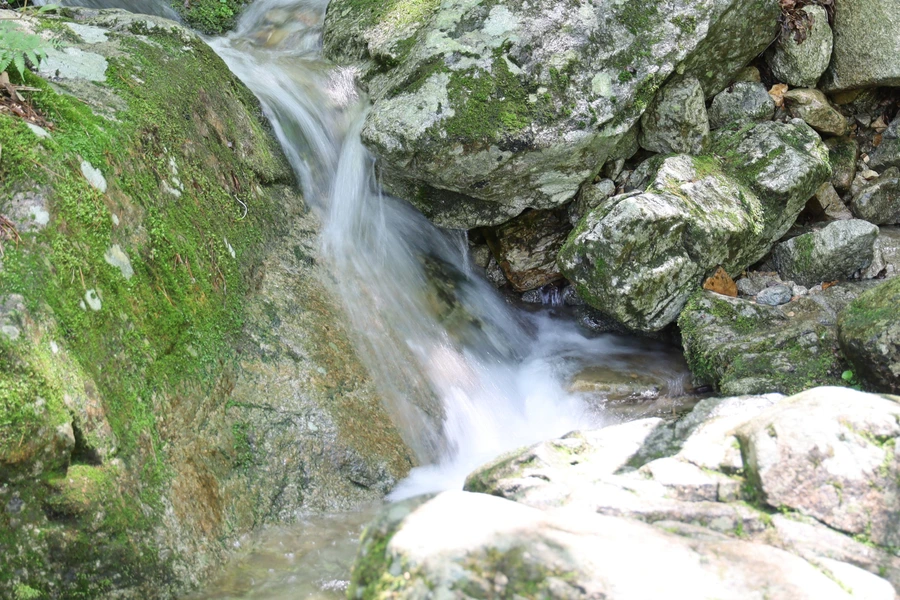 SE-307fc52a-43f1-4d77-b33a-535dd71bb1c1.jpg?type=w1