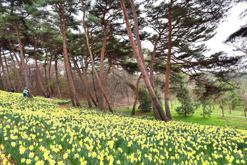 4%EC%9B%945%EC%9D%BC_(29).JPG?type=w966