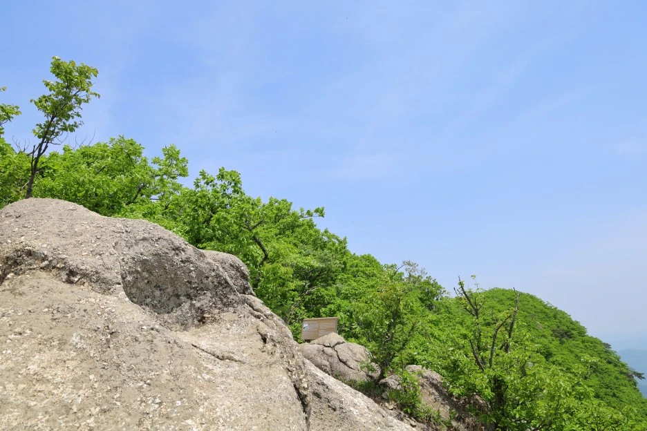 5%EC%9B%9410%EC%9D%BC_(142).JPG?type=w1