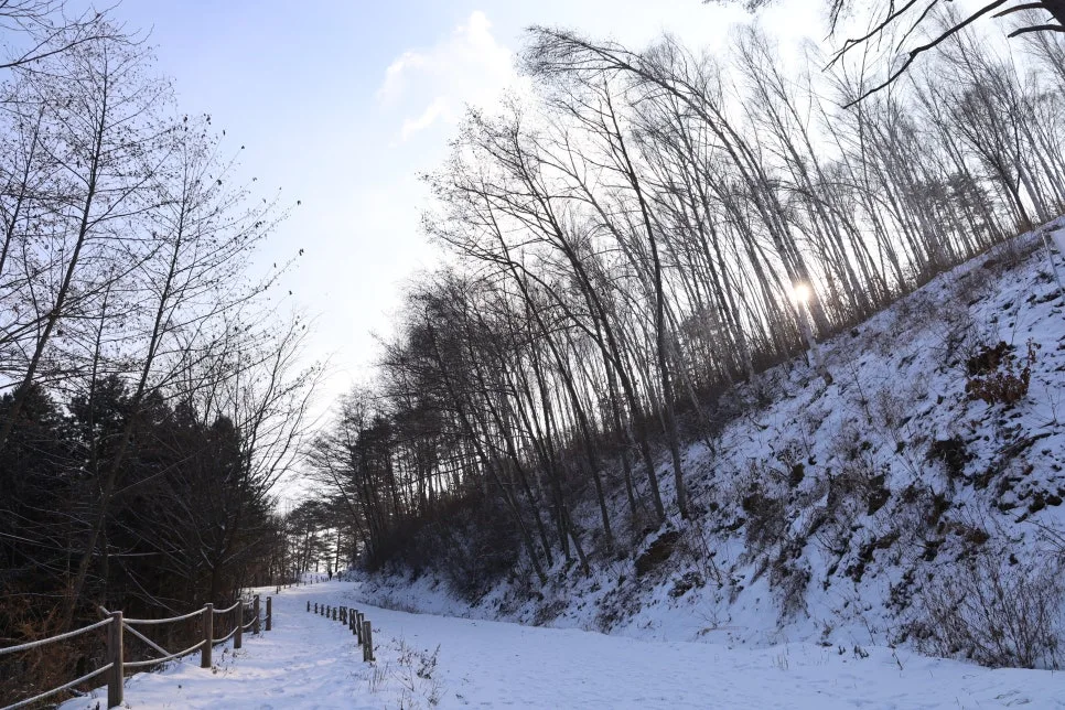 12%EC%9B%9426%EC%9D%BC_(12).JPG?type=w966