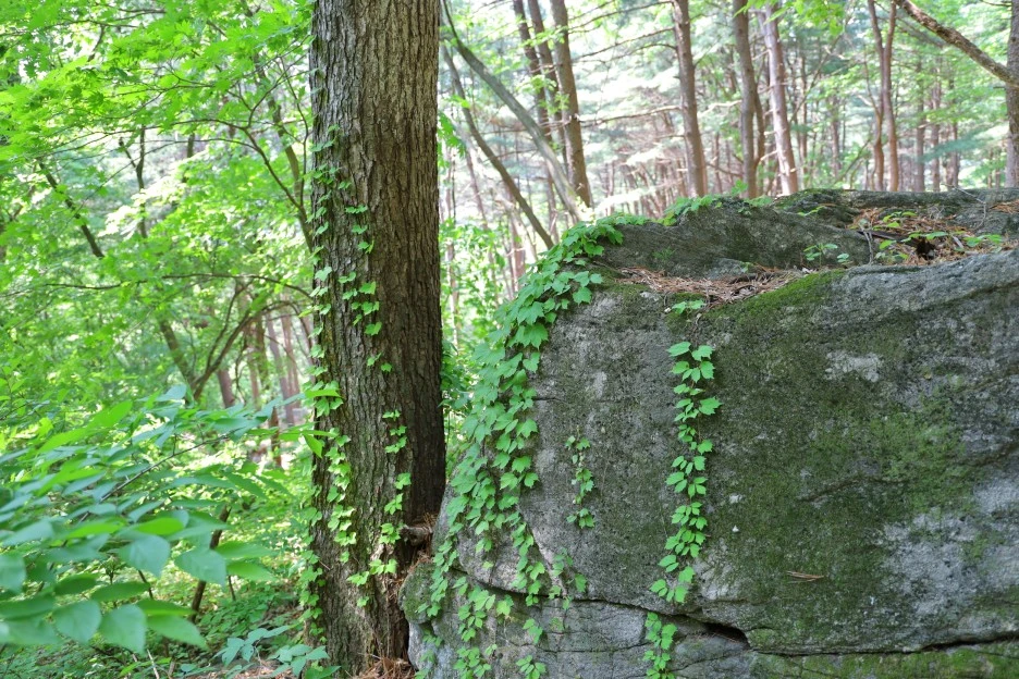 5%EC%9B%9410%EC%9D%BC_(183).JPG?type=w1