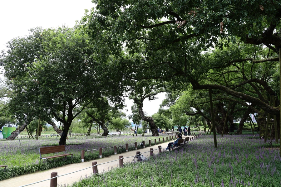 SE-d914d697-1b18-4bcc-ad40-e0a7ce437bf6.jpg?type=w1