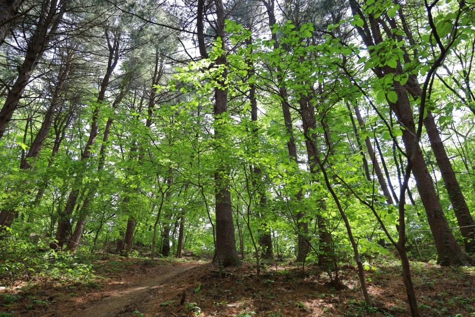 5%EC%9B%9410%EC%9D%BC_(170).JPG?type=w1