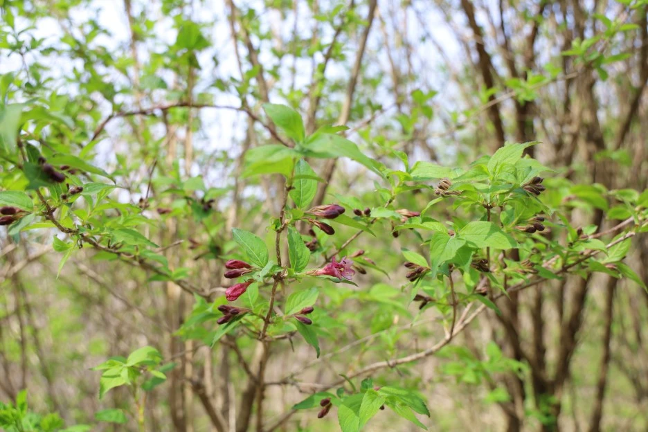 4%EC%9B%9428%EC%9D%BC_(176).JPG?type=w1