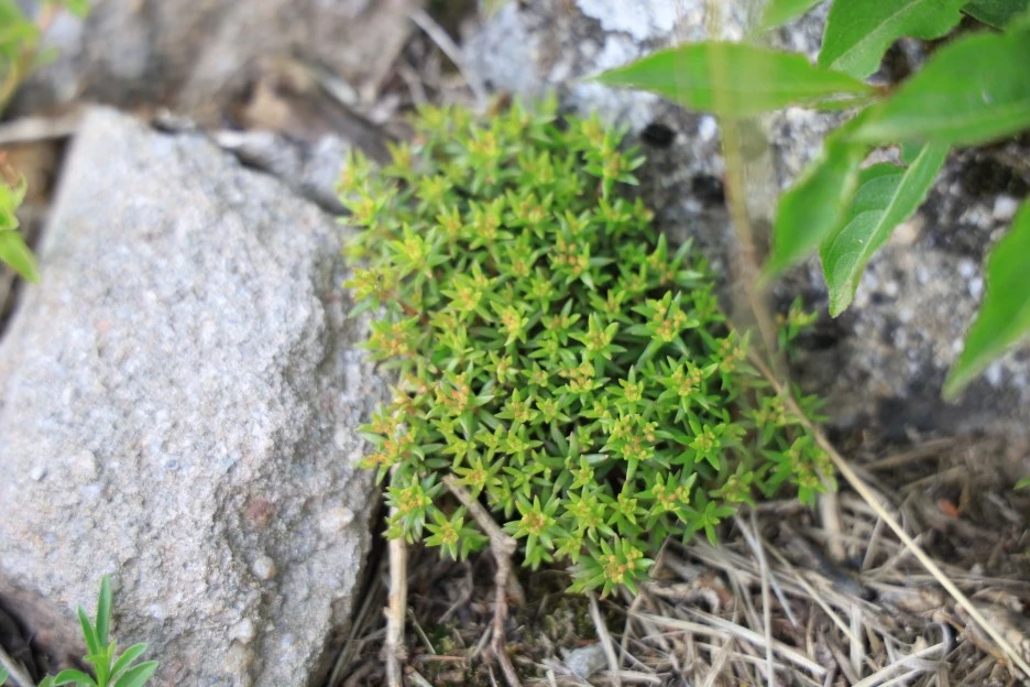 6%EC%9B%9414%EC%9D%BC_(147).JPG?type=w1