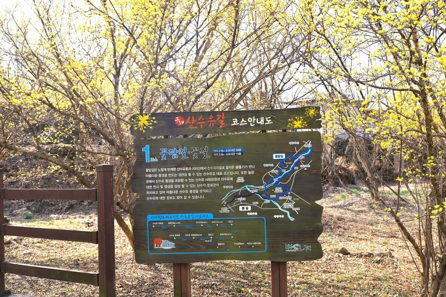 SE-a7d27d17-7c6c-4852-879b-e2da4e82dea5.jpg?type=w1