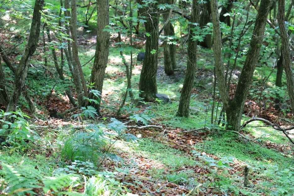 6%EC%9B%9414%EC%9D%BC_(128).JPG?type=w1