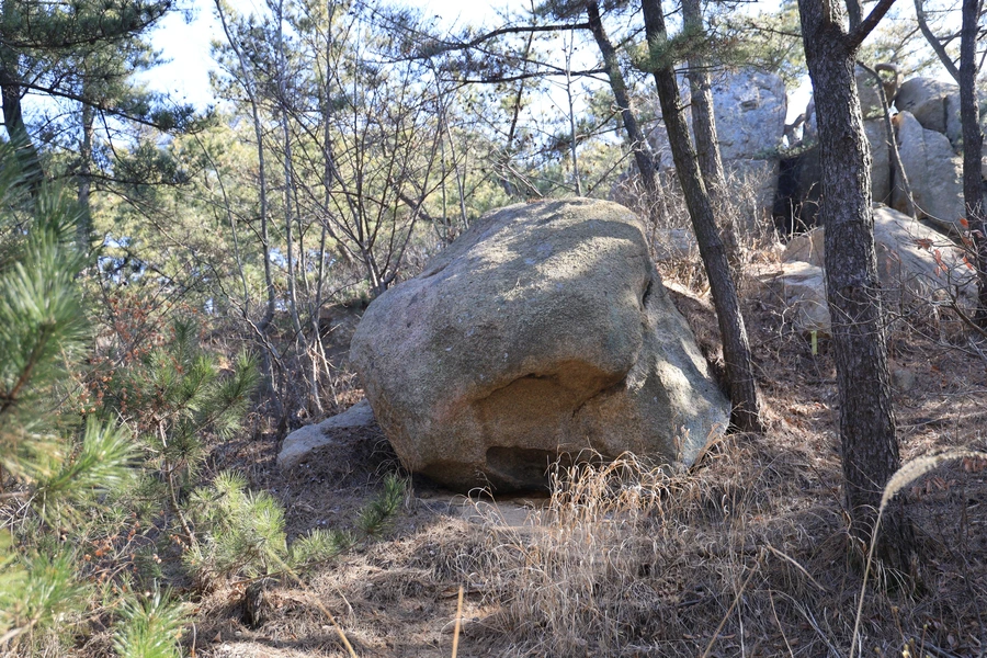 SE-077d9543-45a9-4e41-916a-51e82c27217e.jpg?type=w1