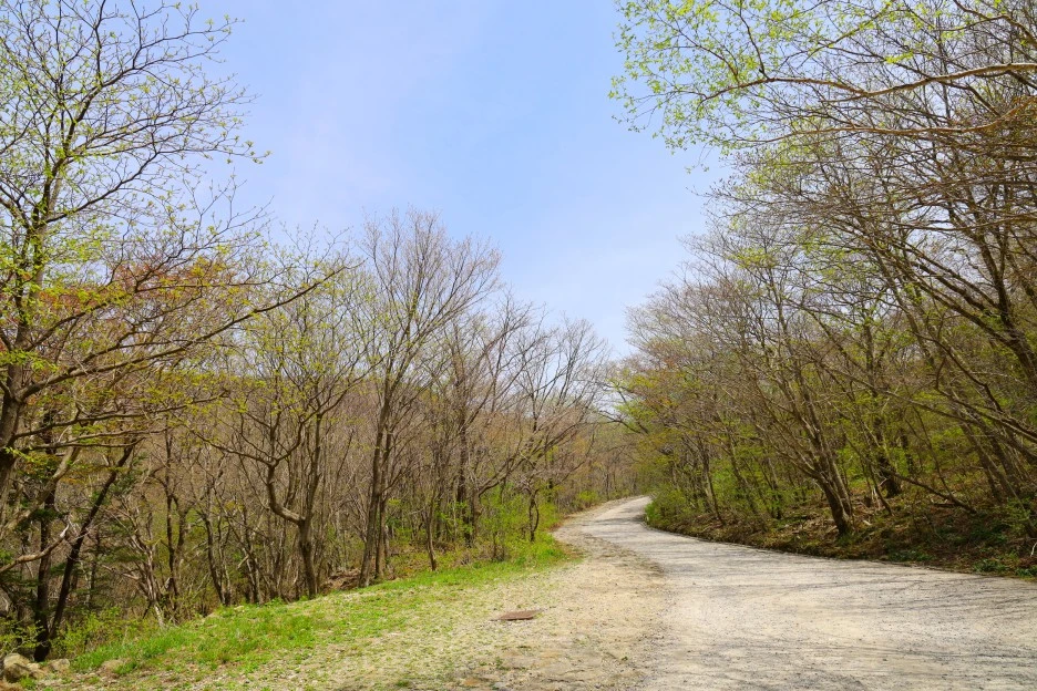 4%EC%9B%9428%EC%9D%BC_(6).JPG?type=w1