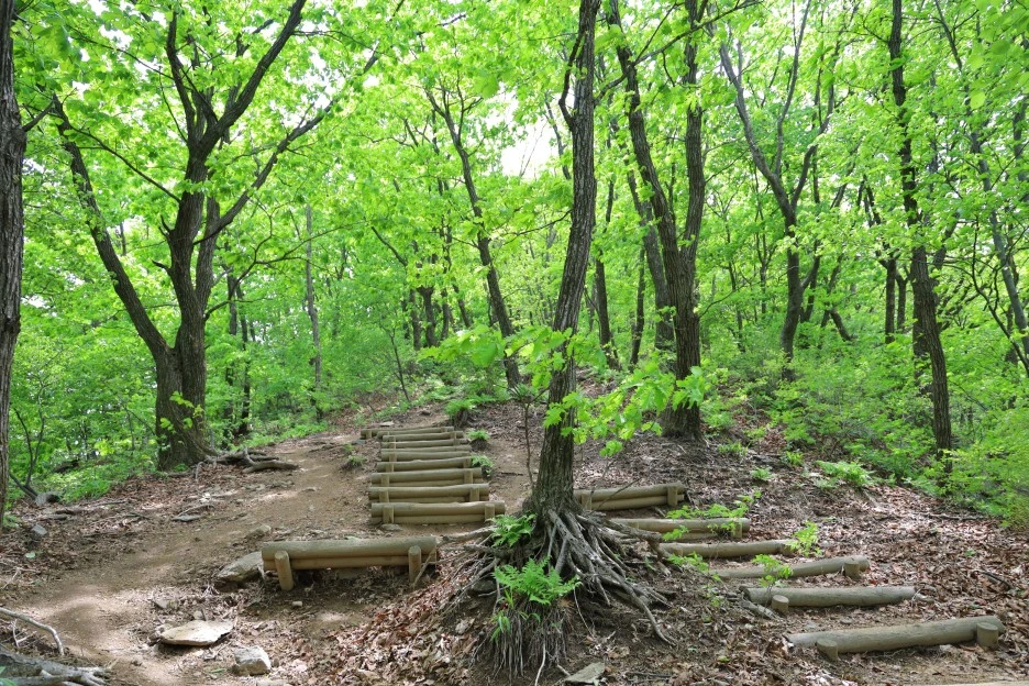 5%EC%9B%9410%EC%9D%BC_(107).JPG?type=w1