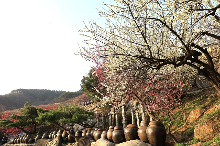 SE-fc5e4118-20a6-4158-a9e2-d25a7b5ac9ce.jpg?type=w1