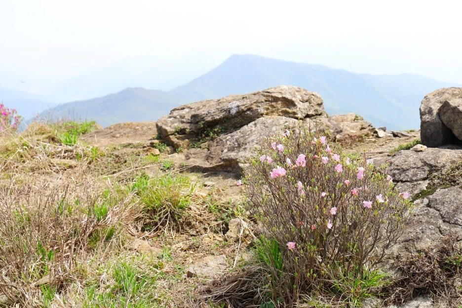 4%EC%9B%9428%EC%9D%BC_(102).JPG?type=w1