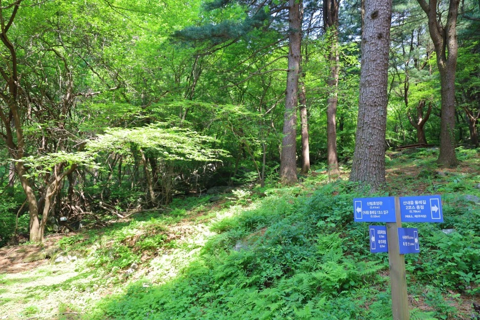 5%EC%9B%9410%EC%9D%BC_(182).JPG?type=w1