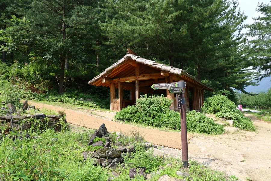 SE-aae778d9-72d1-4bd9-aa3b-142d37f2aa11.jpg?type=w1