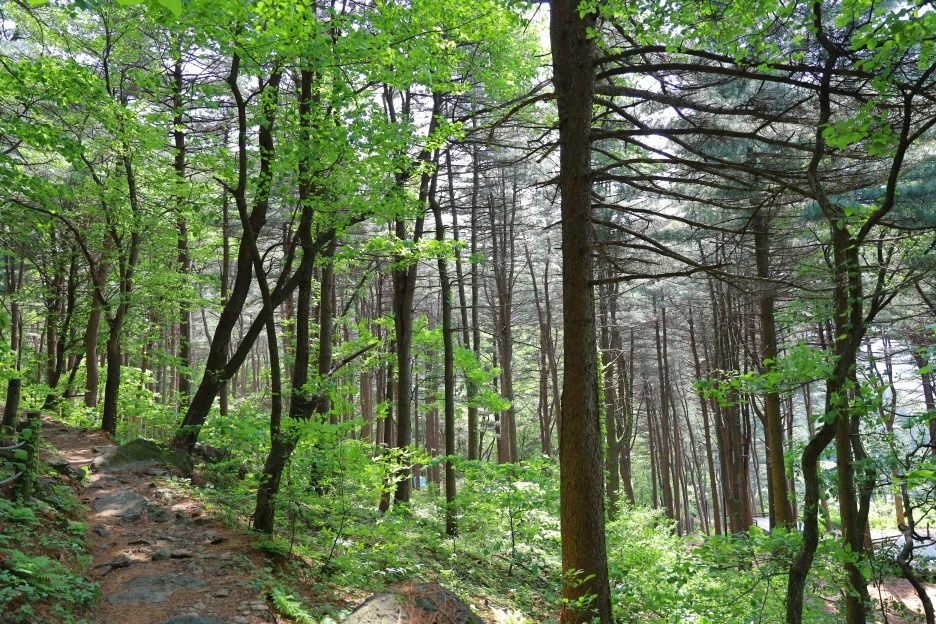 5%EC%9B%9410%EC%9D%BC_(185).JPG?type=w1