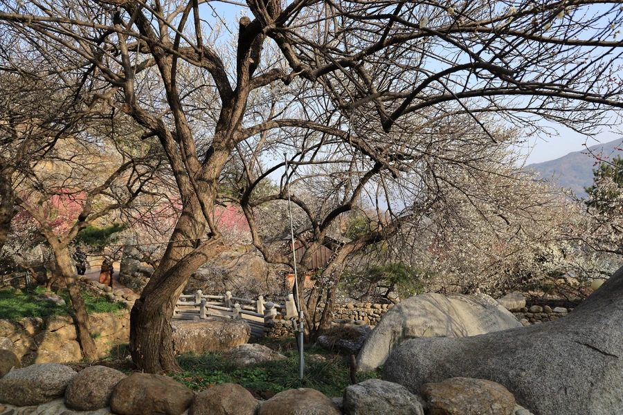 SE-54a4888b-22bc-410e-b15a-5ba7a9810514.jpg?type=w1