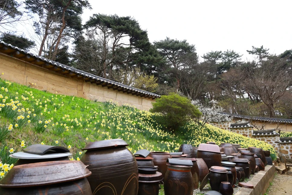 4%EC%9B%945%EC%9D%BC_(13).JPG?type=w966