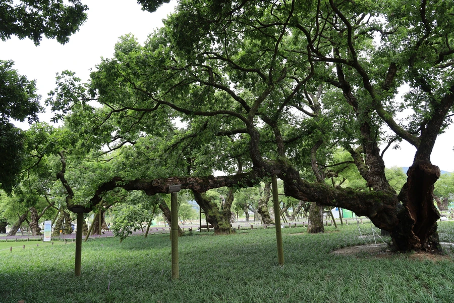 SE-76159343-ffd5-40cc-8507-b3bea7b2b80f.jpg?type=w1