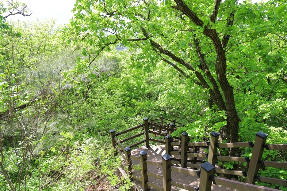 5%EC%9B%9410%EC%9D%BC_(82).JPG?type=w1