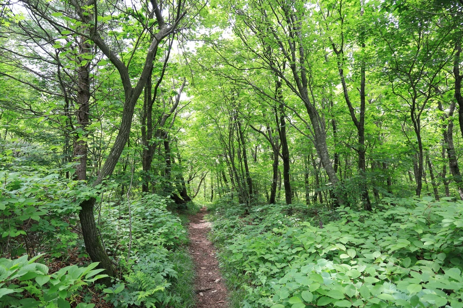 SE-2b4516fd-8bd9-4ef3-a77e-06a1178a4502.jpg?type=w1