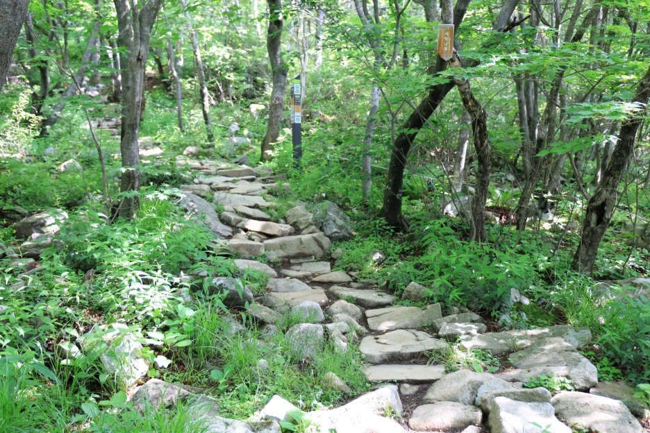 6%EC%9B%9414%EC%9D%BC_(118).JPG?type=w1