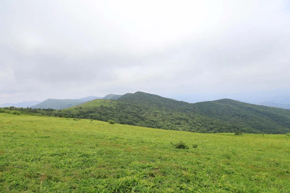 6%EC%9B%9428%EC%9D%BC_(210).JPG?type=w1