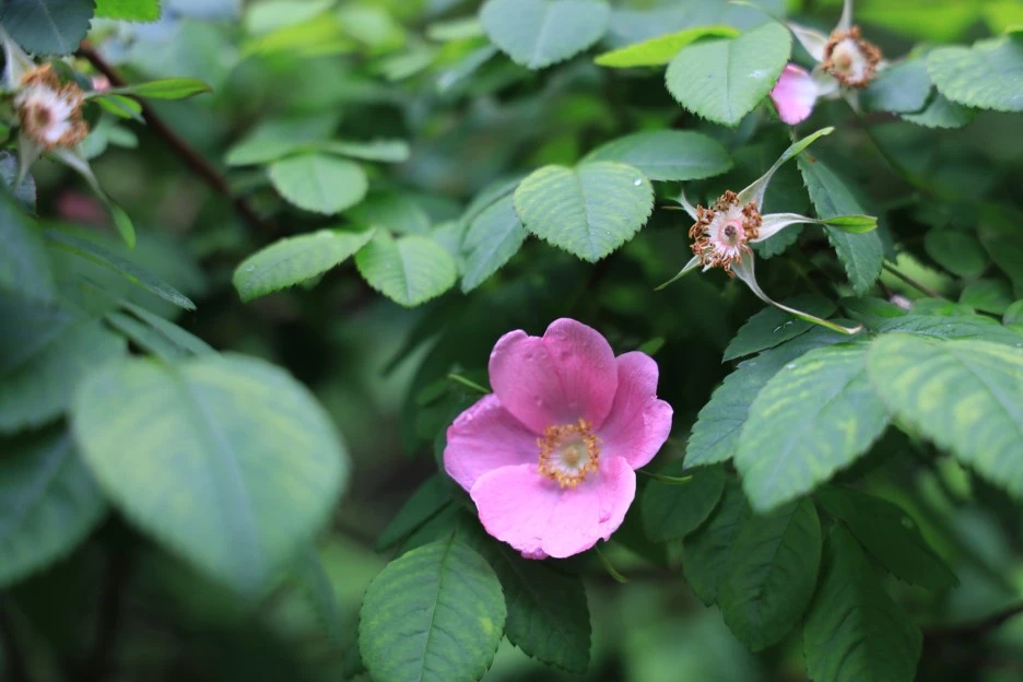 6%EC%9B%9414%EC%9D%BC_(288).JPG?type=w1