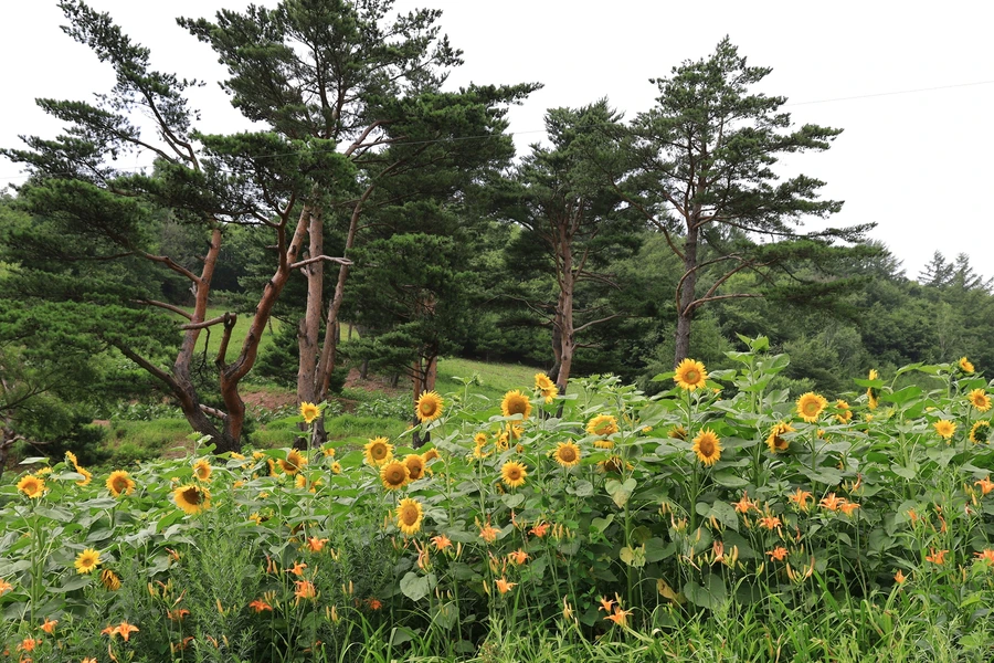 SE-a884401f-6645-4ae2-9feb-1cb954485123.jpg?type=w1