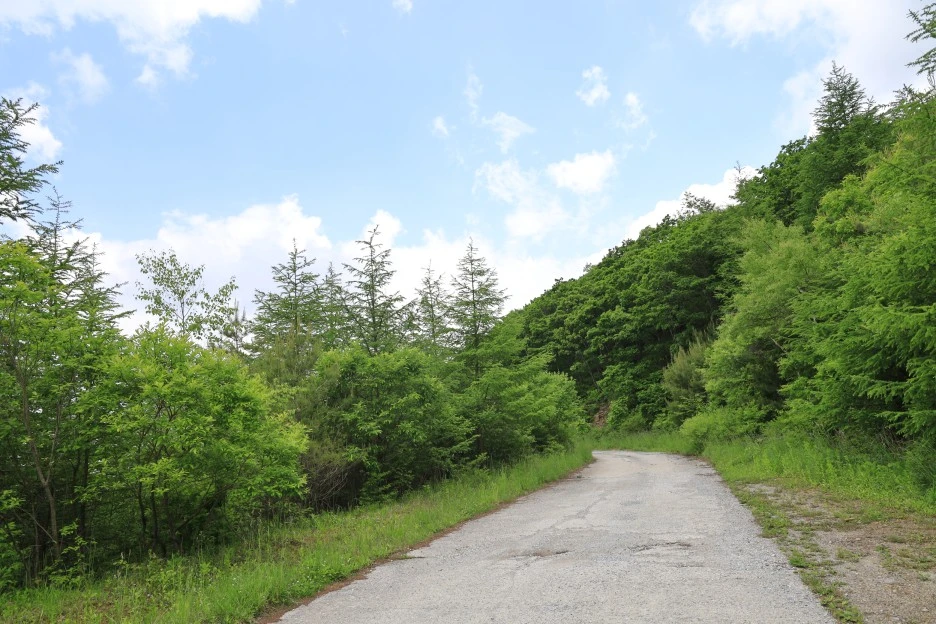 6%EC%9B%9414%EC%9D%BC_(308).JPG?type=w1