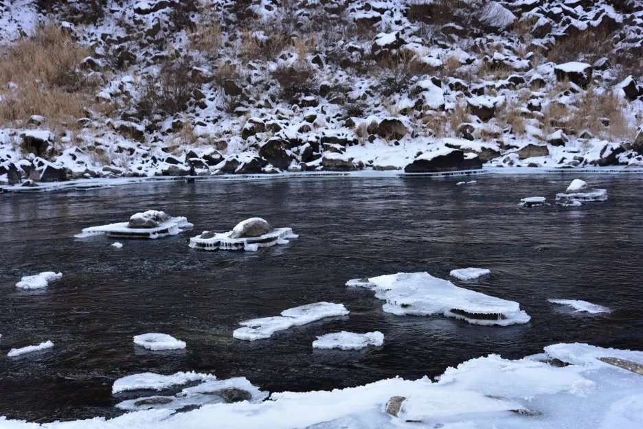 1%EC%9B%9412%EC%9D%BC_(141).JPG?type=w1