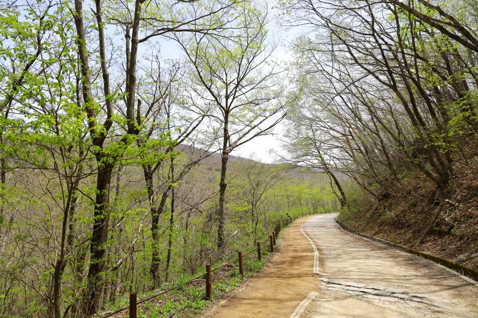 4%EC%9B%9428%EC%9D%BC_(4).JPG?type=w1