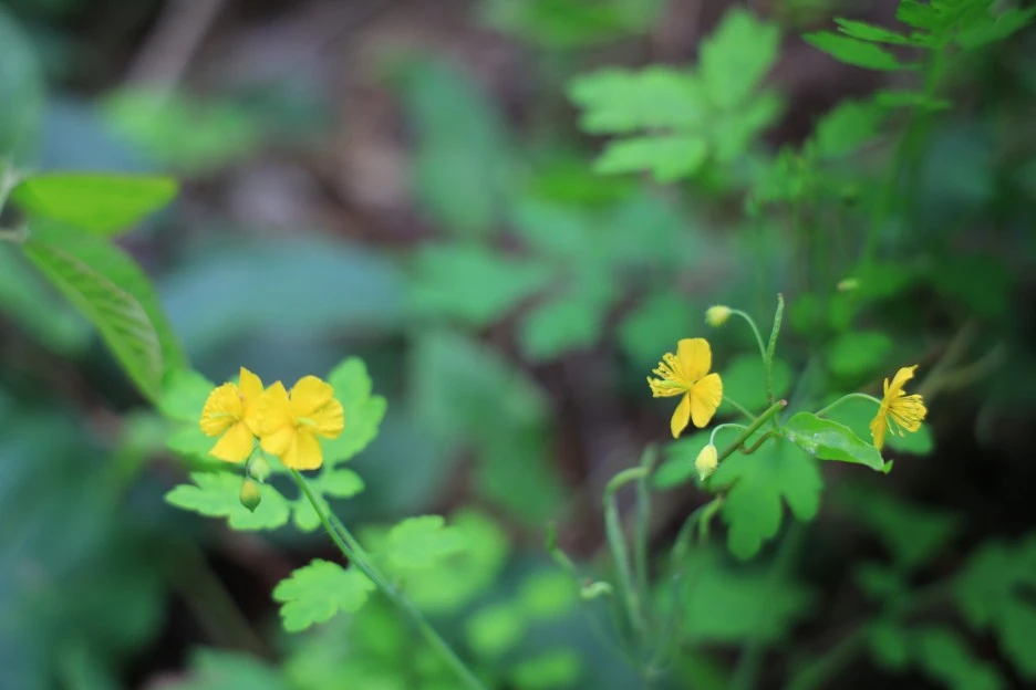 6%EC%9B%9428%EC%9D%BC_(430).JPG?type=w1