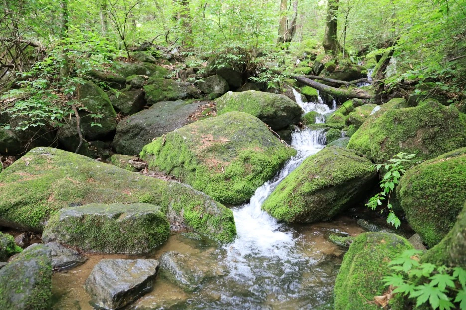 6%EC%9B%9428%EC%9D%BC_(374).JPG?type=w1