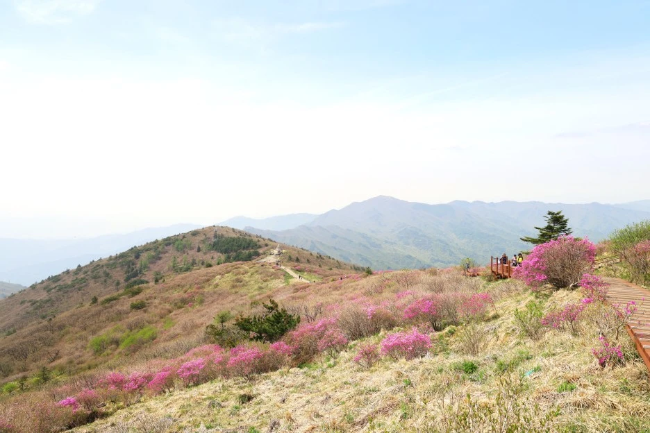 4%EC%9B%9428%EC%9D%BC_(73).JPG?type=w1