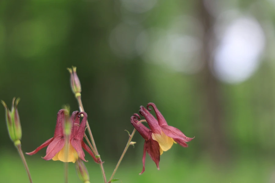 SE-9b0c7e3d-221a-478f-b322-e335f546e659.jpg?type=w1