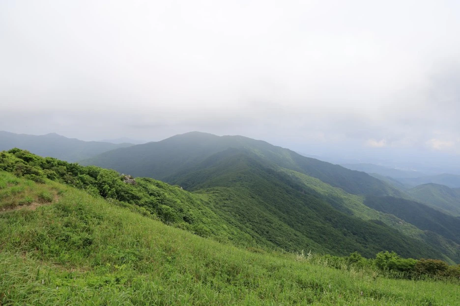 6%EC%9B%9428%EC%9D%BC_(217).JPG?type=w1