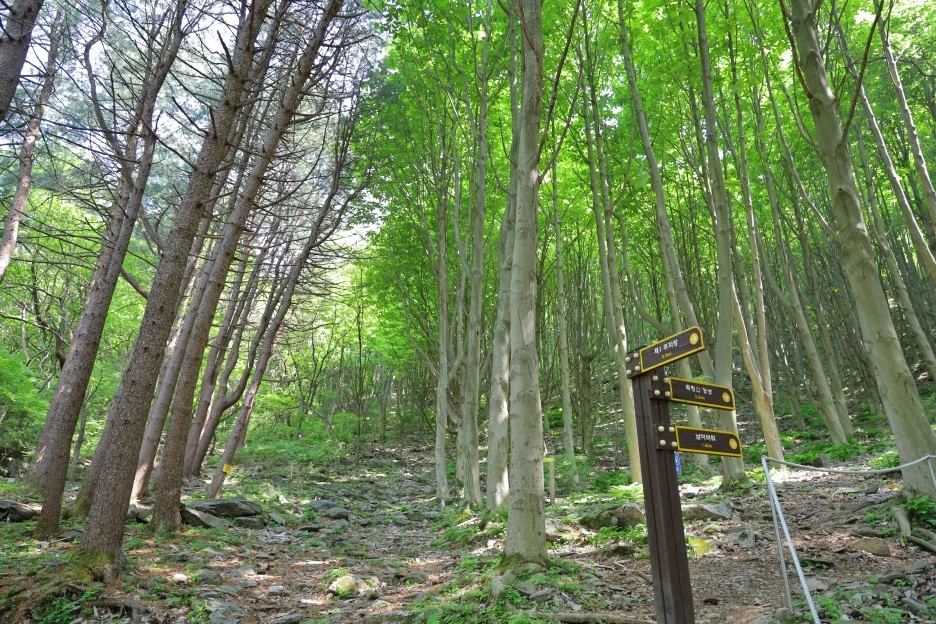 5%EC%9B%9410%EC%9D%BC_(179).JPG?type=w1