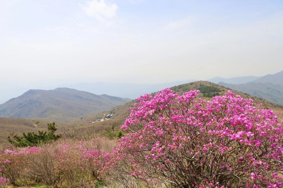 4%EC%9B%9428%EC%9D%BC_(68).JPG?type=w1