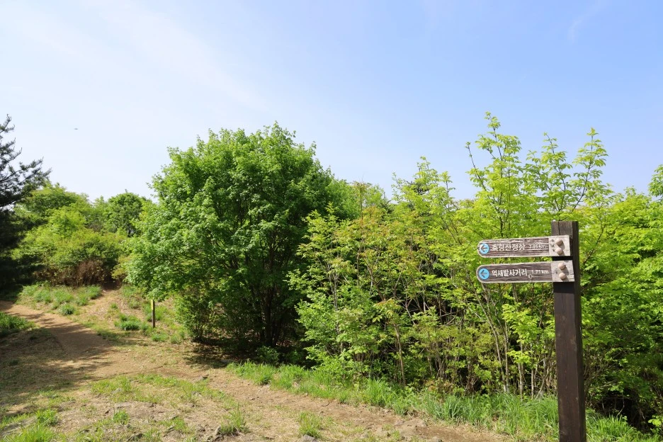 5%EC%9B%9410%EC%9D%BC_(77).JPG?type=w1