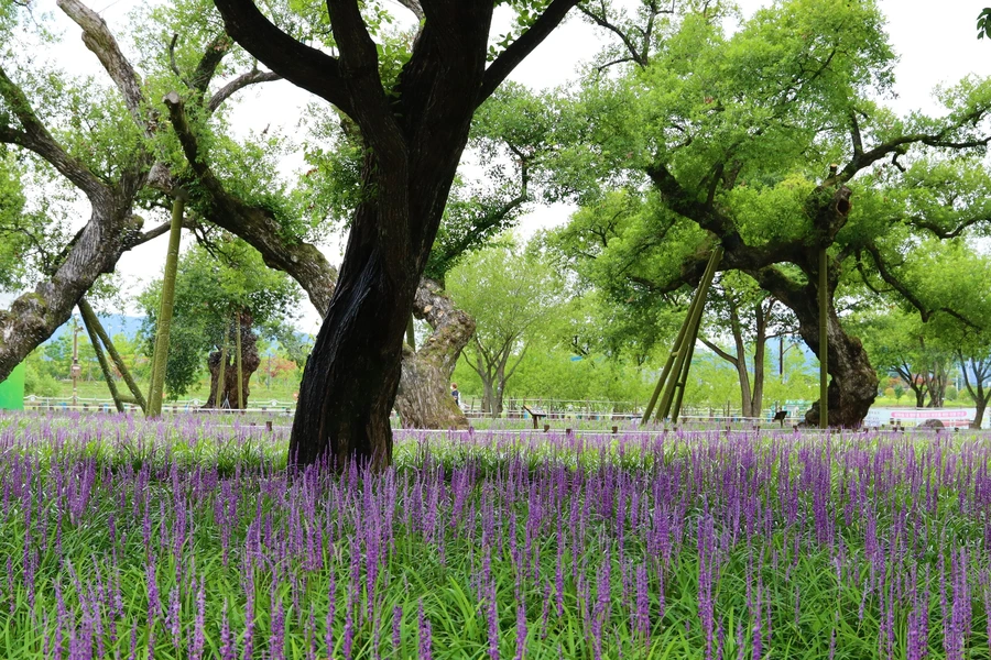 SE-e228ab74-f678-4d0d-ac7a-366e395e07f6.jpg?type=w1