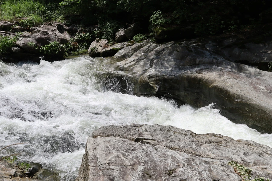 SE-d9d90adc-ee7c-4a85-8280-da339bf88468.jpg?type=w1