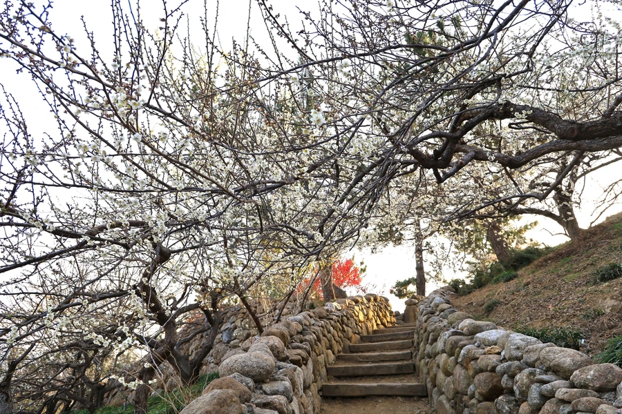 SE-e8ce4b54-821b-4237-87ea-cf8ecb9c2b33.jpg?type=w1