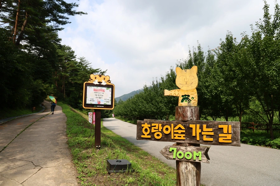 SE-ccdc60eb-bff2-44cd-b4d3-38f6a2346844.jpg?type=w1