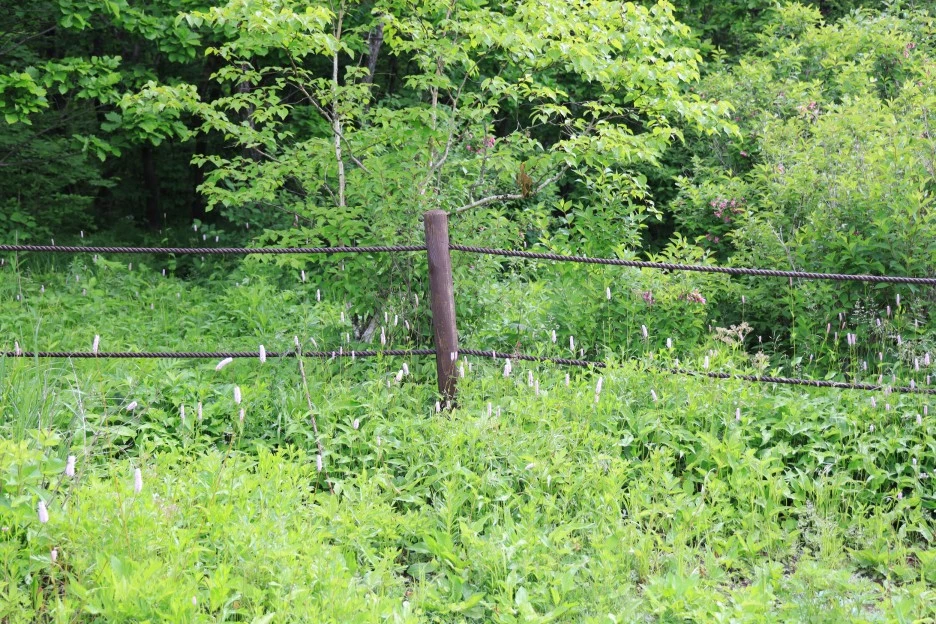 6%EC%9B%9414%EC%9D%BC_(112).JPG?type=w1