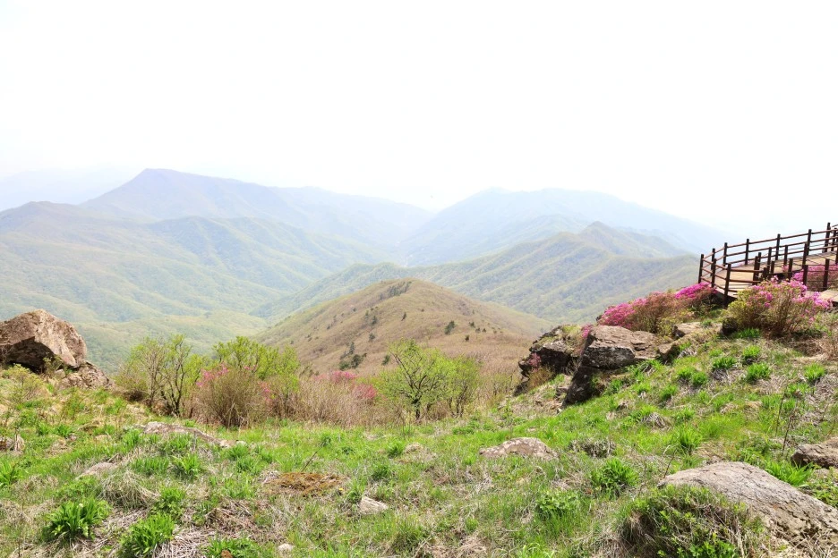 4%EC%9B%9428%EC%9D%BC_(105).JPG?type=w1