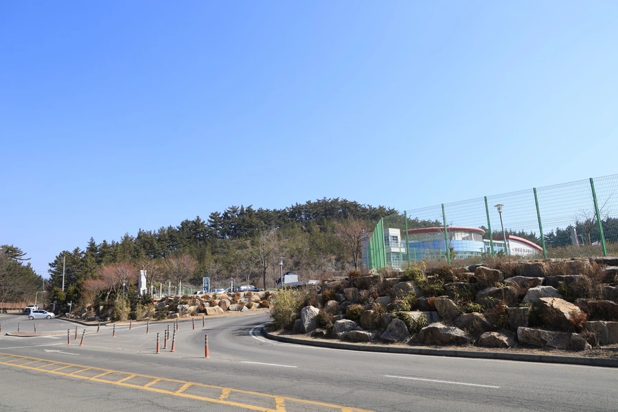 SE-8a282a91-a8d7-49f6-9e43-579858705c93.jpg?type=w1